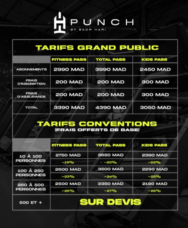 Punch By Badr Hari